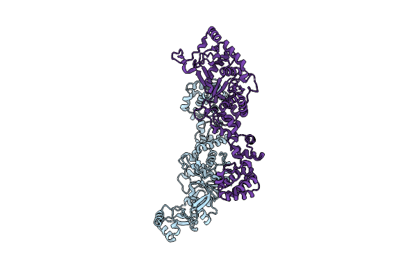 3PNV image
