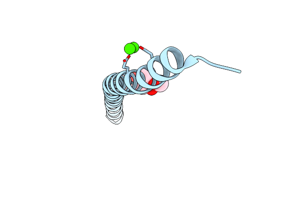 3PP5 image