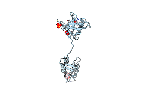 3PPA image