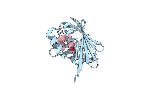 3PPT image