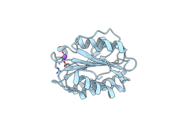 3PPX image