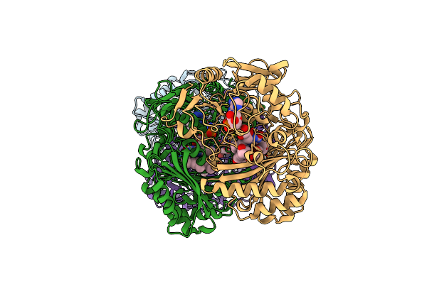 3PQB image
