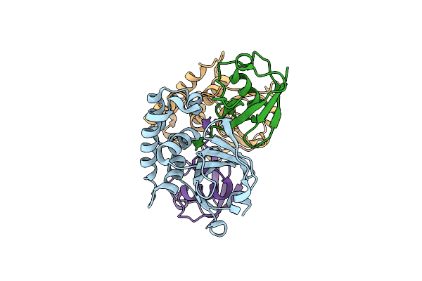 3PRP image