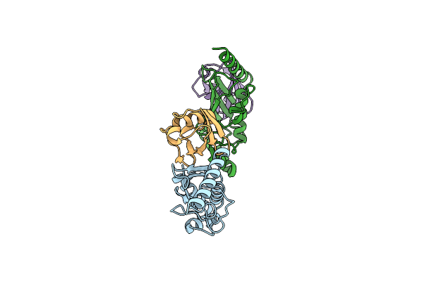 3PTF image