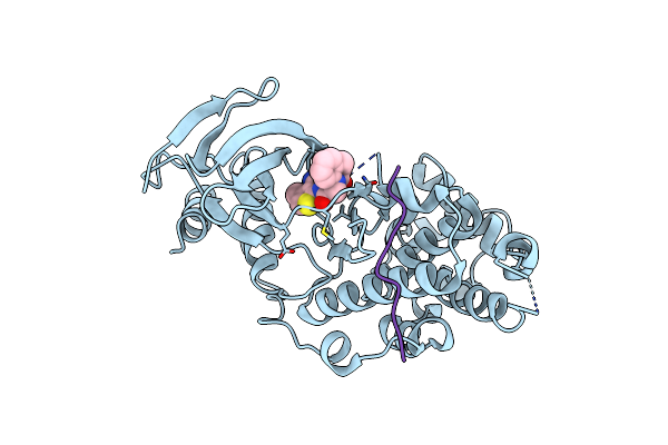 3PTG image