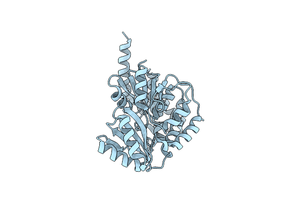 3PTW image