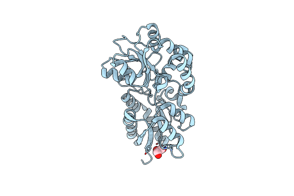3PU5 image