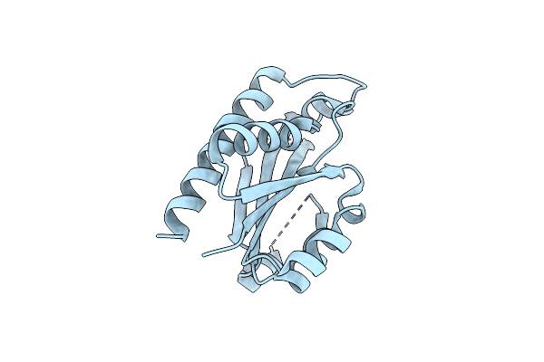 3PU6 image