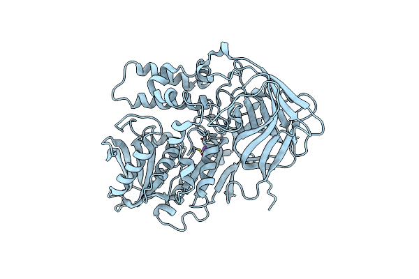 3PUI image