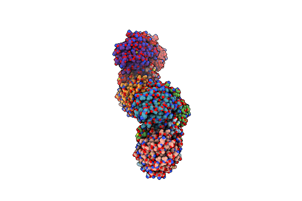 3PVA image