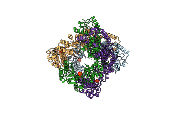 3PVS image
