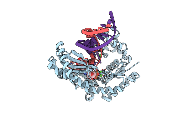3PW4 image