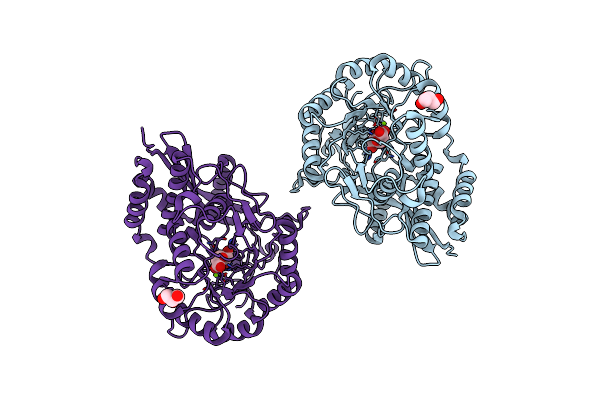 3PWI image
