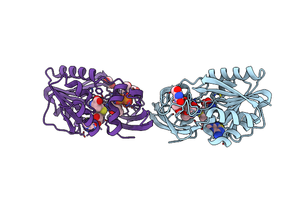 3PX2 image