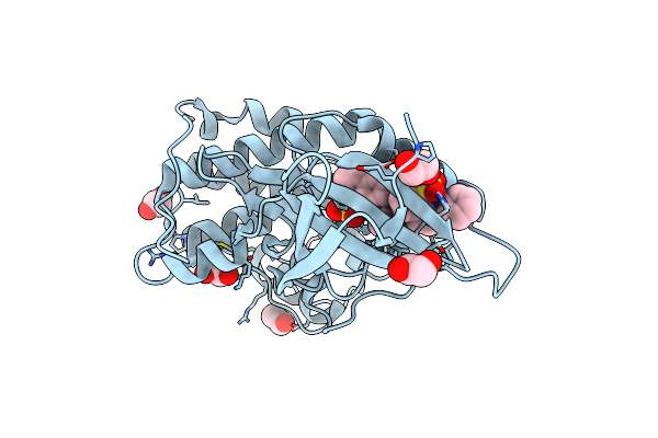 3PXF image