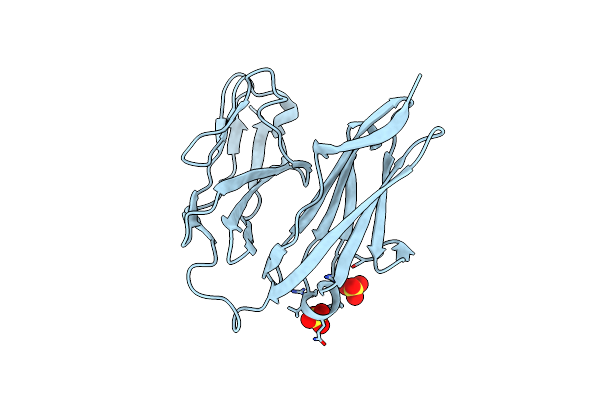 3PXH image