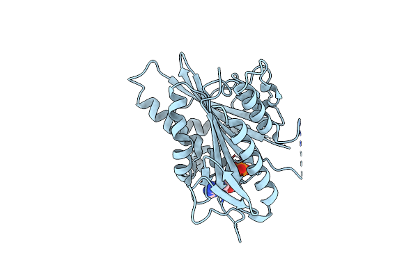 3PXN image