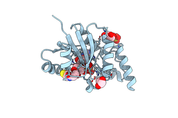 3PXU image