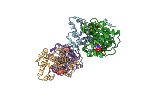 3PXV image