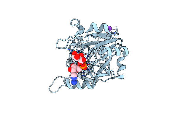 3PY5 image