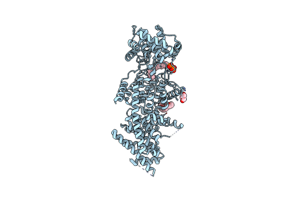 3PYA image