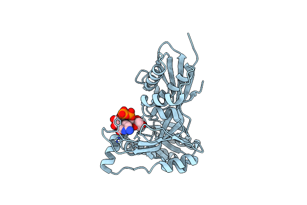 3PYE image