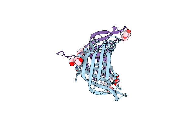 3PYI image