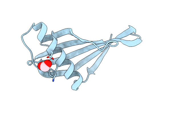 3PYJ image