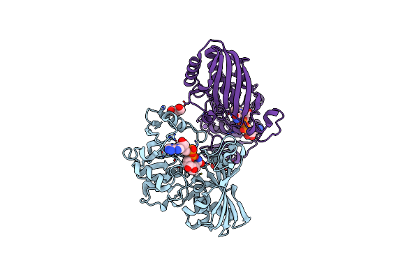 3PYM image