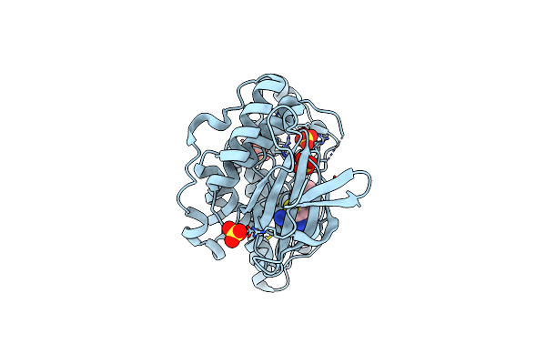 3PZE image