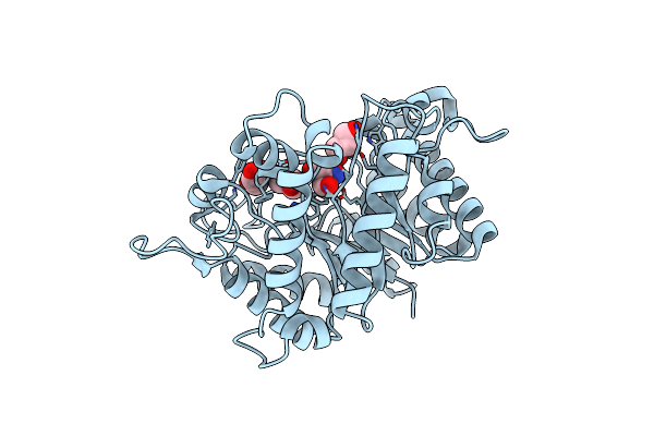 3PZM image