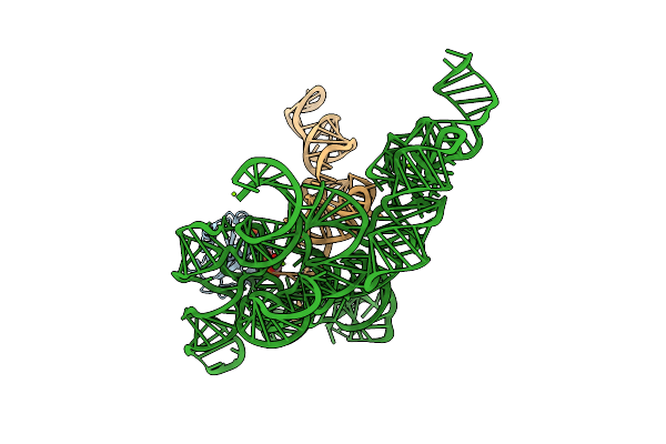 3Q1R image