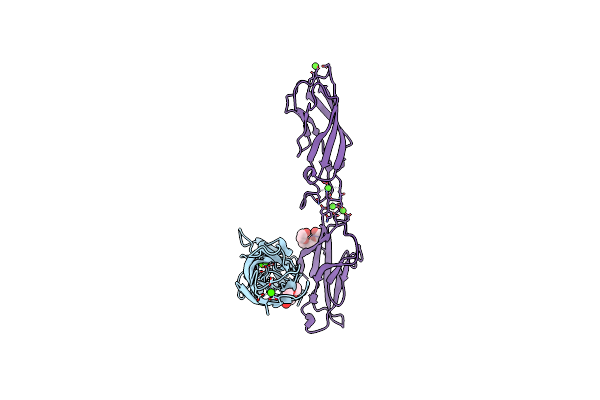 3Q2N image