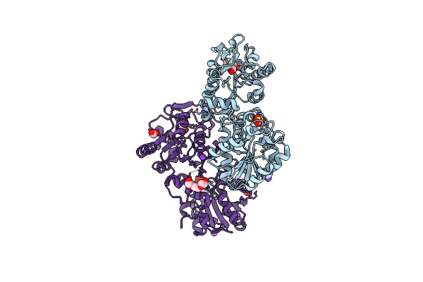 3Q3V image