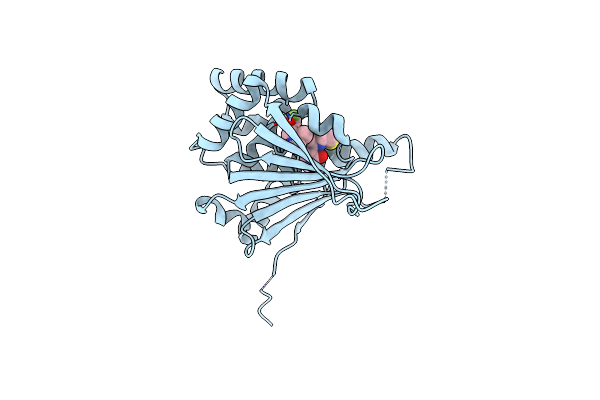 3Q5K image