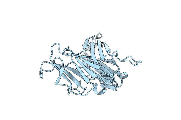 3Q5T image