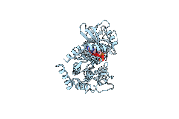 3Q60 image