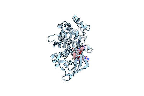 3Q6W image