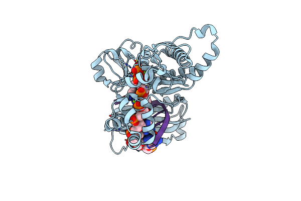 3Q8P image