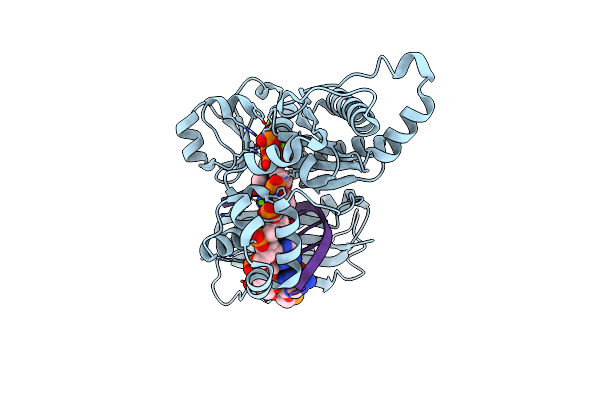 3Q8S image
