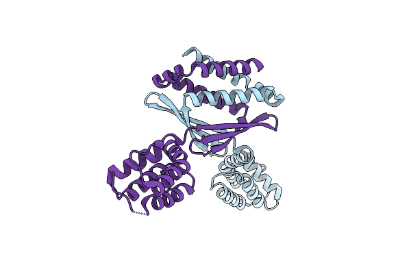 3Q9D image