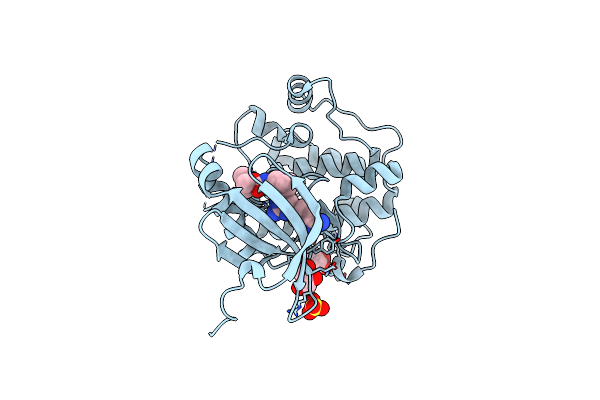 3QD3 image