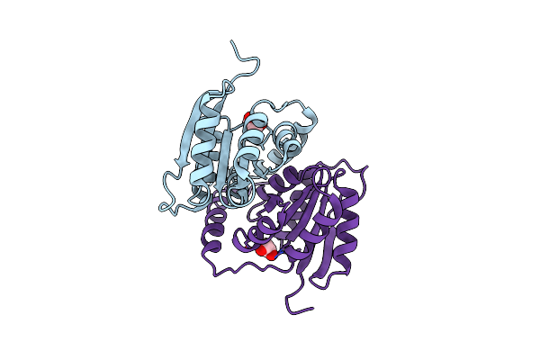 3QD5 image