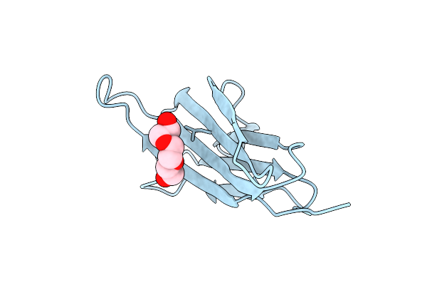 3QDA image