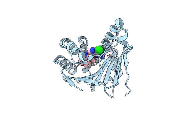 3QDD image