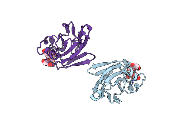 3QDT image