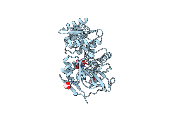 3QE3 image