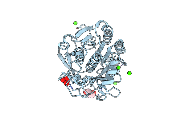3QMP image
