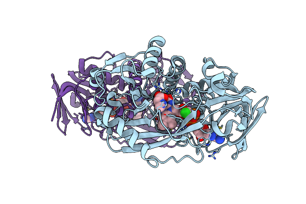 3QSE image