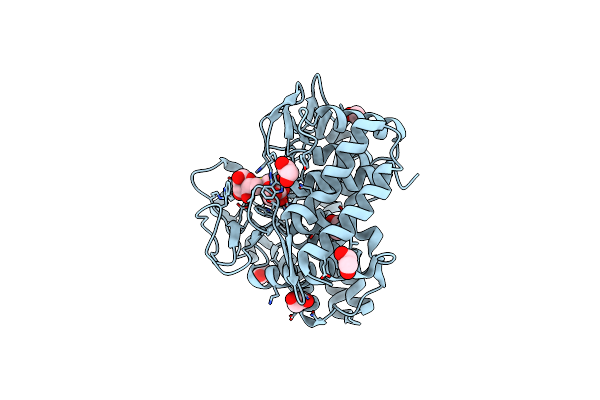 3QT9 image